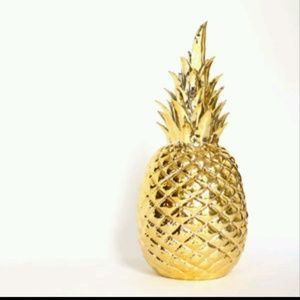 Meet your Posher, Rayna